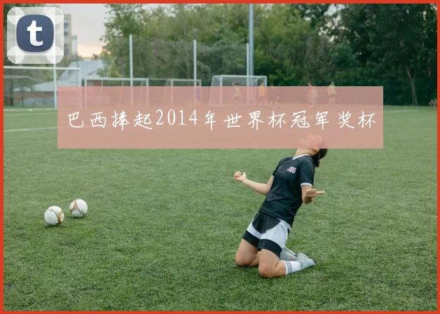 巴西捧起2014年世界杯冠军奖杯