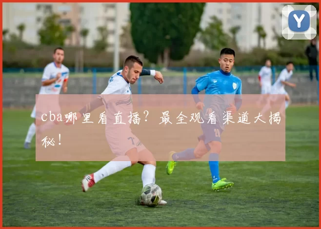 cba哪里看直播？最全观看渠道大揭秘！