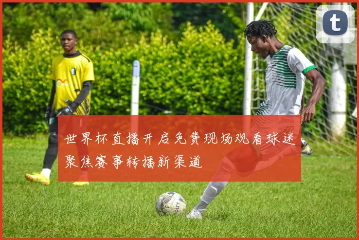 世界杯直播开启免费现场观看球迷聚焦赛事转播新渠道