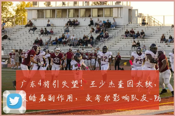 广东4将引失望！王少杰奎因太软，张皓嘉副作用，麦考尔影响队友_防守_进攻_对手